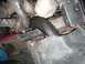 turbo pics 032.jpg